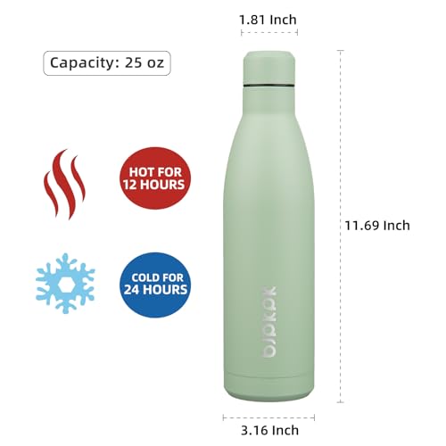 25 oz Insulated Stainless Steel Water Bottle