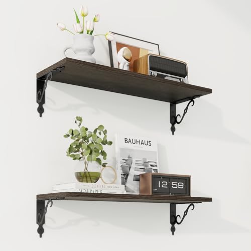 Floating Shelves for Wall Decor (2 Count)