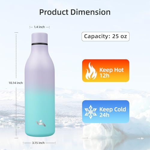25 oz Insulated Stainless Steel Metal Water Bottle with Strap
