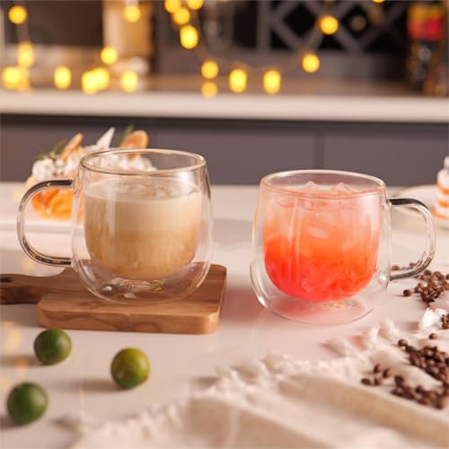 10oz Double Walled Glass Coffee Mugs (4 Count)