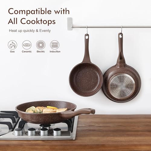 Nonstick Frying Pan Skillet