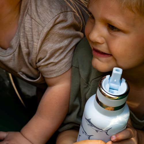 12oz Journey Water Bottle with Straw