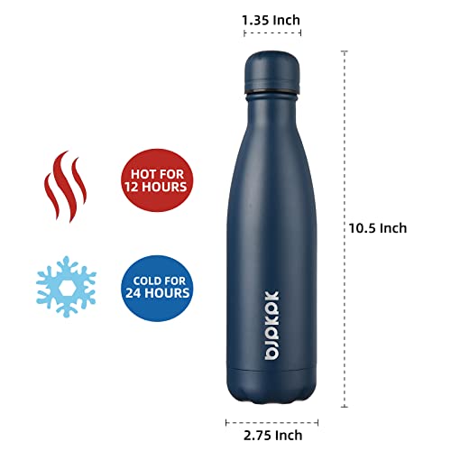 17 oz Insulated Water Bottle