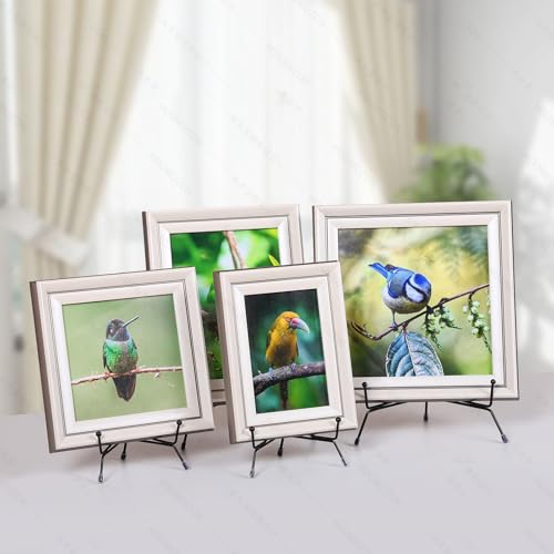 10 Pack Upgraded Plate Display Stands (10 Count)