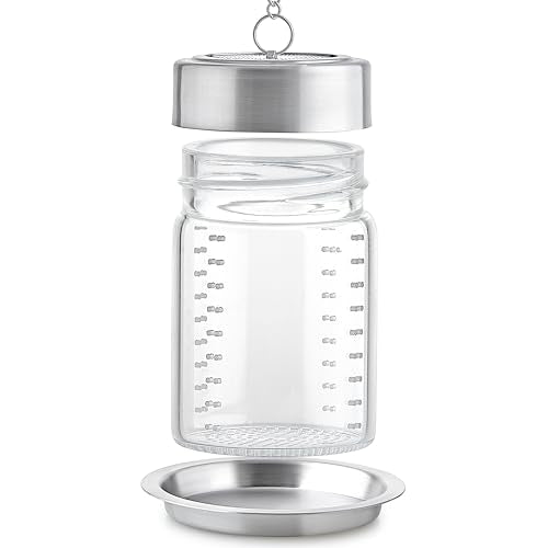Elegant Glass Tea Infuser