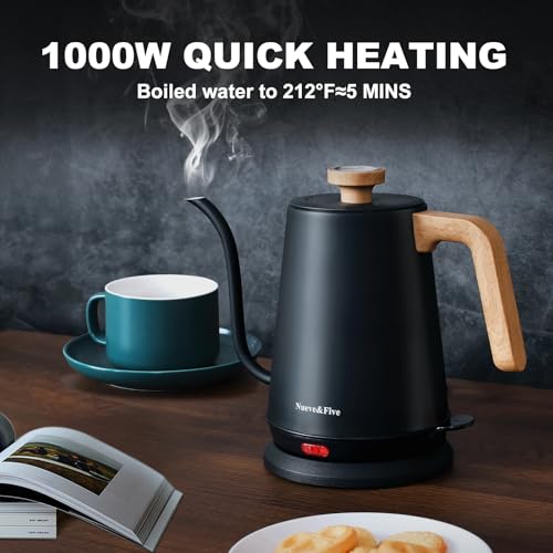 Electric Gooseneck Kettle with Thermometer