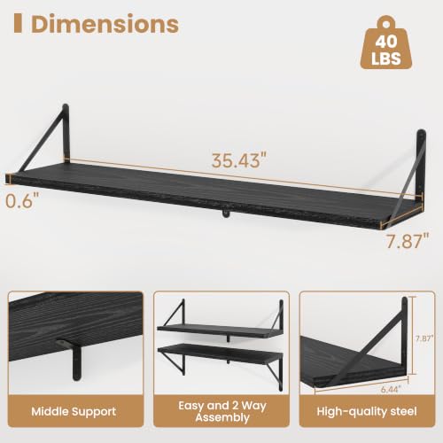 Floating Book Shelves for Wall (3 Count)