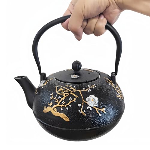 Cast Iron Teapot SECHUDO Teapot for Stovetop Safe Coated with Enameled Interior