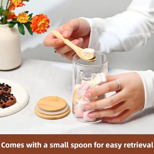 Glass Sugar Container with Spoon (8 Count)