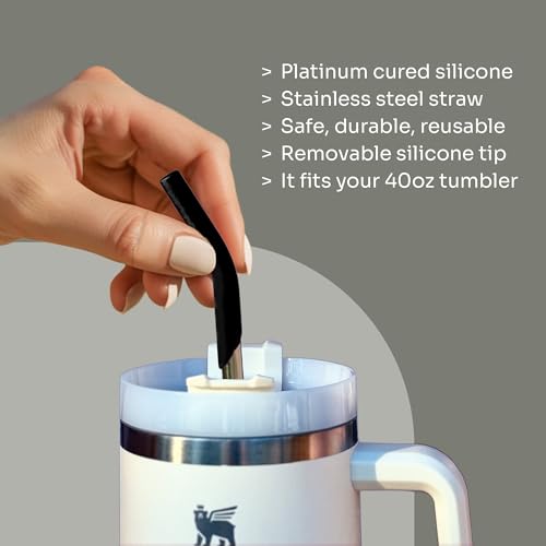 14.5" Stainless Steel Straws with Silicone Tips (10 Count)