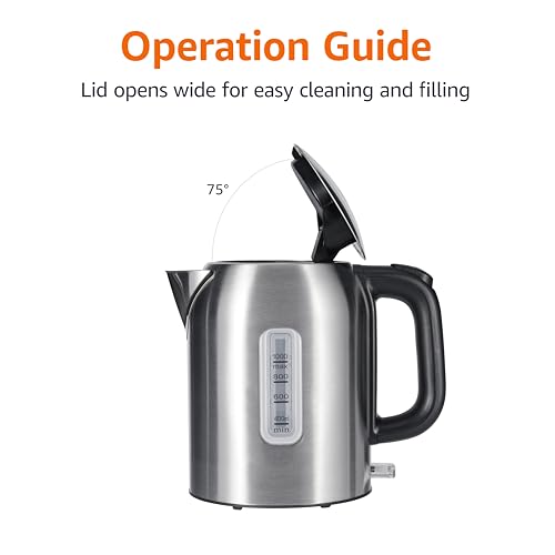 Electric Kettle