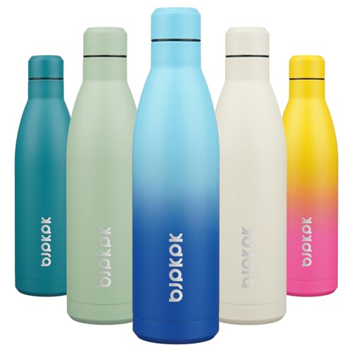 25 oz Insulated Stainless Steel Water Bottle