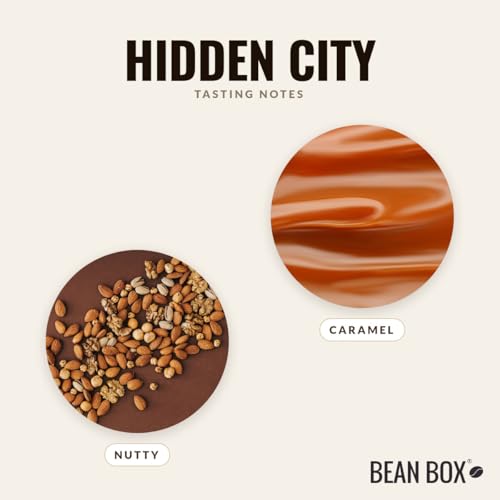 Hidden City Roasted by Zoka Coffee (80 Ounce)