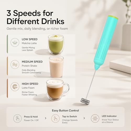 Milk Frother Handheld with 3 Stainless Steel Whisks