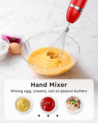 Immersion Blender Handheld