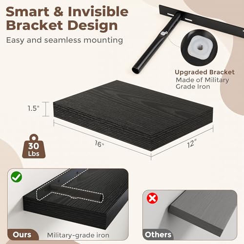 Floating Shelves for Wall (2 Count)