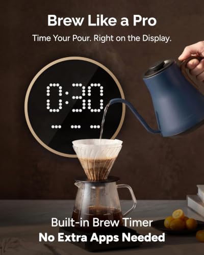 Gooseneck Electric Kettle