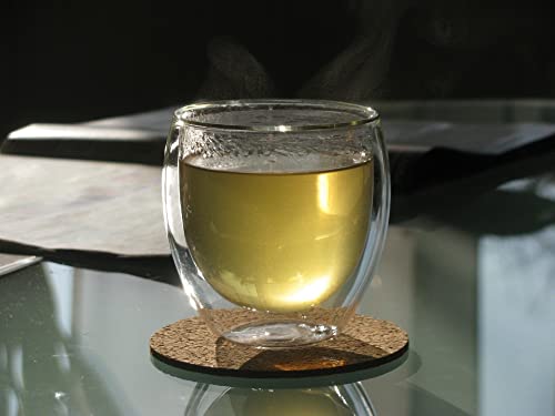 2.7 oz Double Wall Glass Espresso Cups Set of 4 (4 Count)