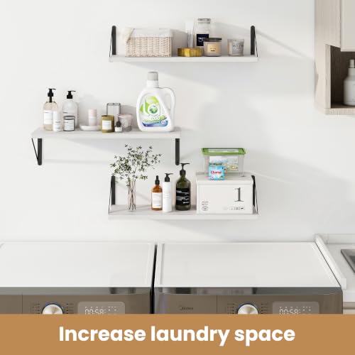 Floating Book Shelves for Wall (3 Count)