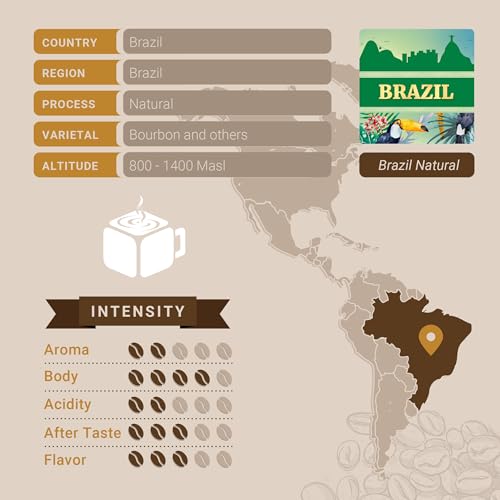 Brazil Natural Medium Roast Coffee Pods (10 Count)