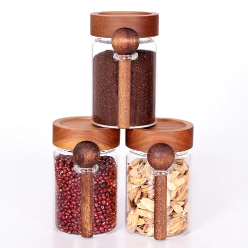 Glass Jar with Acacia Screw Lid and Spoon (3 Count)