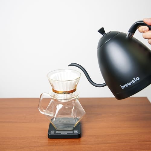Artisan Electric Gooseneck Kettle