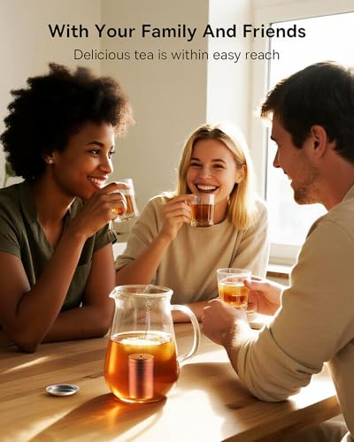 2 Pack Tea Strainers for Loose Tea (2 Count)