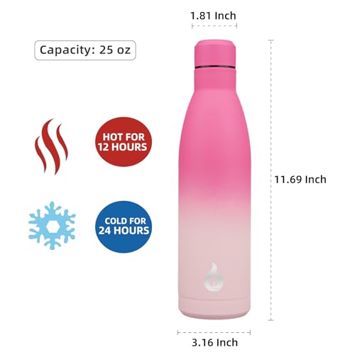 25 oz Insulated Stainless Steel Water Bottle