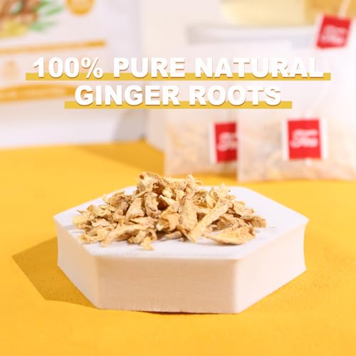 Ginger Tea Bags (64 Count)