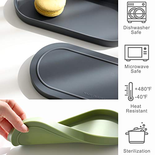 Silicone Tray