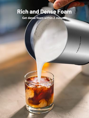 Electric Milk Frother