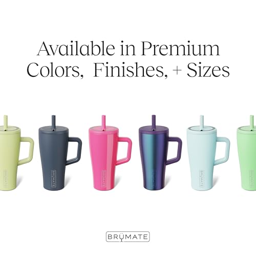 Era 20 oz Tumbler with Handle and Straw