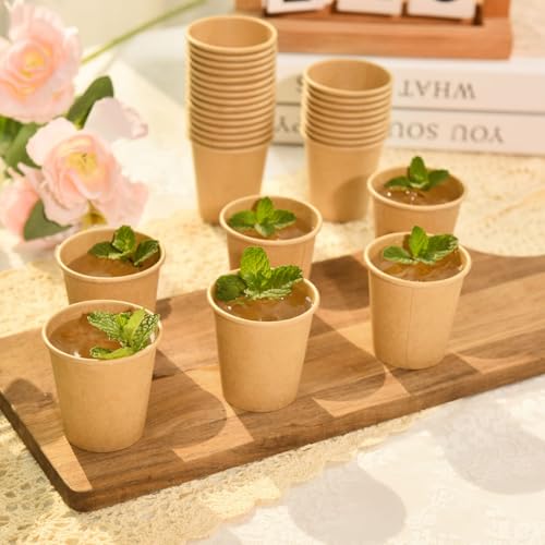 500 Pack 3 oz Kraft Paper Cups (500 Count)