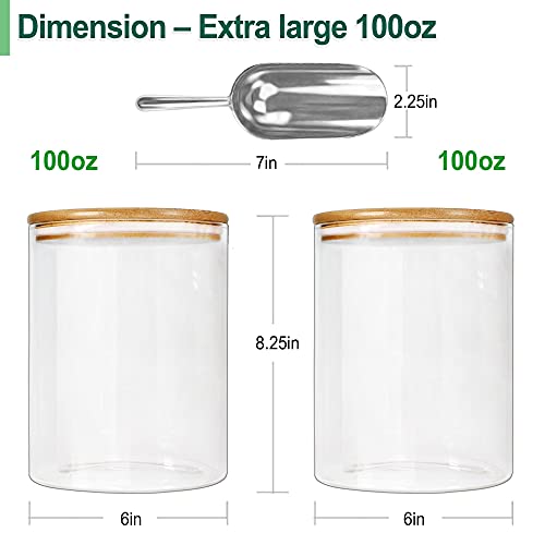 Glass Jars with Airtight Lids (2 Count)