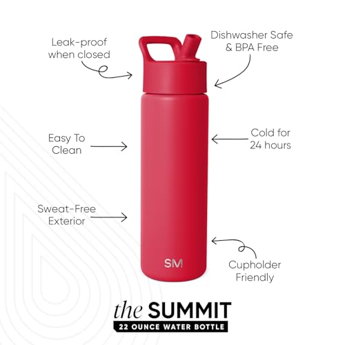Insulated Water Bottle with Straw