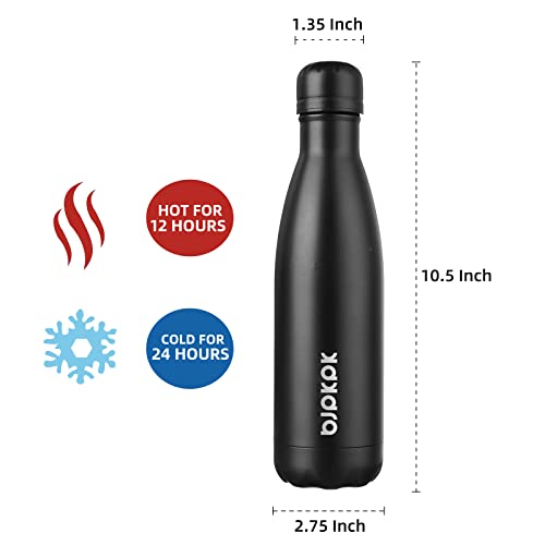 17 oz Insulated Water Bottle