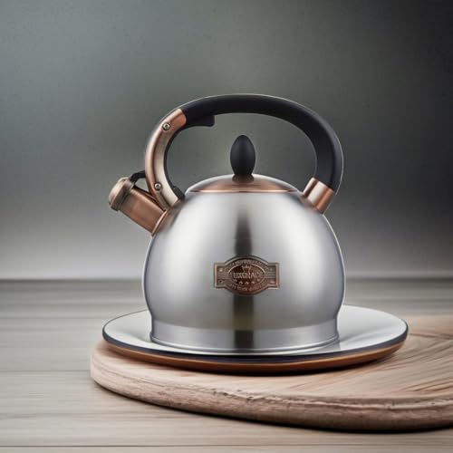 Tea Kettle 2.8 Quart Tea Kettles Stovetop Whistling Teapot Stainless Steel Tea Pots for Stove Top Whistle Tea Pot