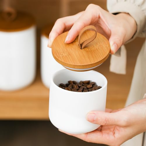 Ceramic Storage Jars