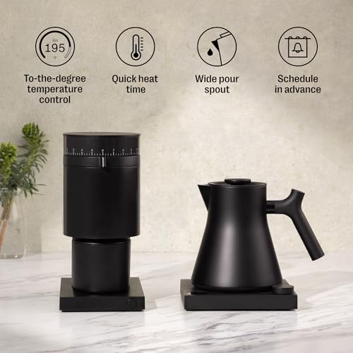Corvo EKG Pro Small Electric Tea Kettle for Coffee
