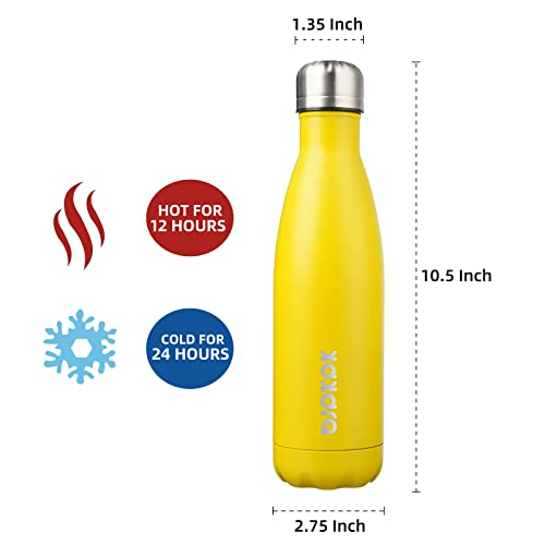 17 oz Insulated Water Bottle