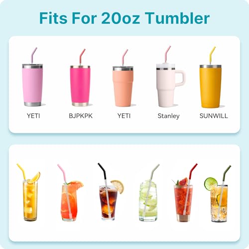 20 oz Straight Metal Straws with Silicone Tip for 20 oz Tumbler