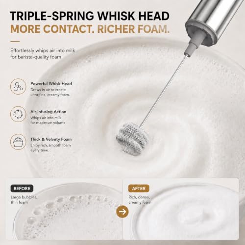 Milk Frother Handheld