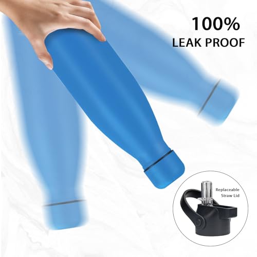 Insulated Water Bottle