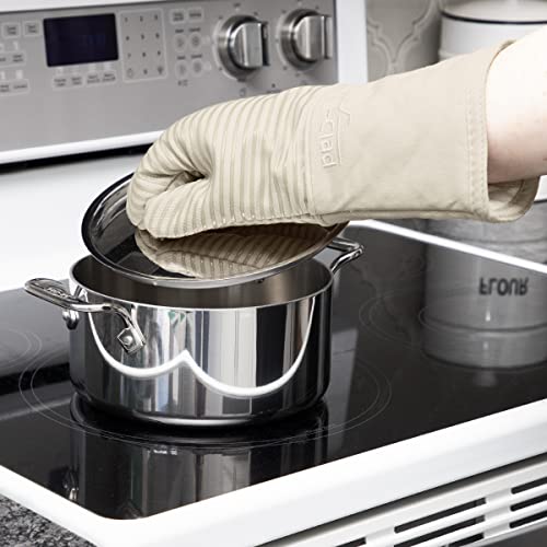 Premium Silicone Oven Mitt