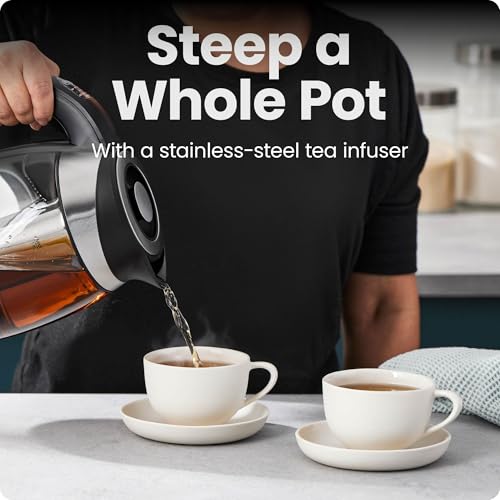 Electric Kettle with Temperature Control