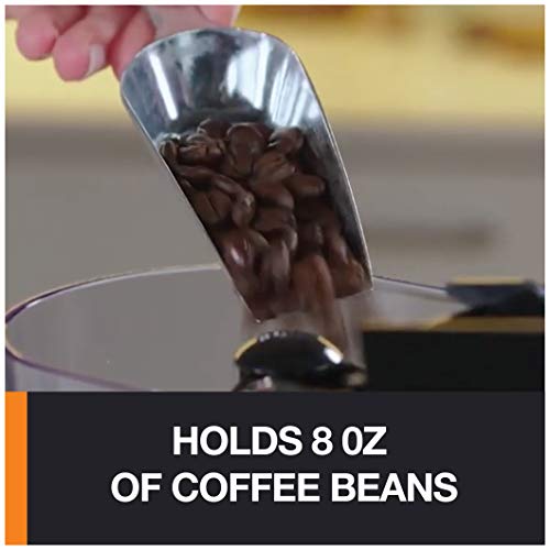 Precision Burr Coffee Grinder