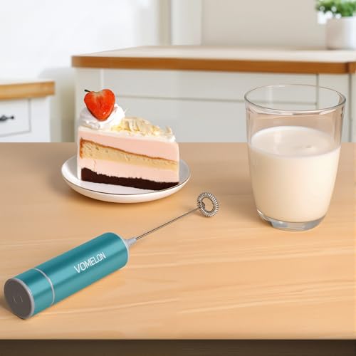 Milk Frother Handheld