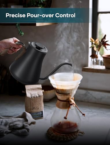 Gooseneck Electric Kettle with ±1℉ Temperature Control 0.9 Liter