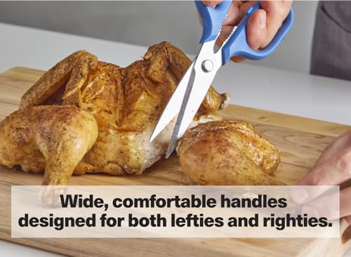 Heavy Duty Kitchen Shears