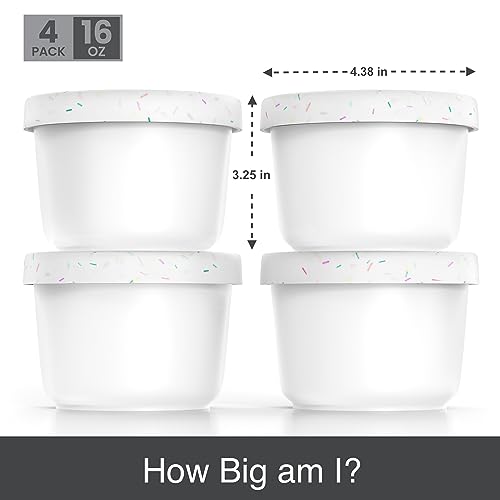 16oz Ice Cream Containers (4 Count)